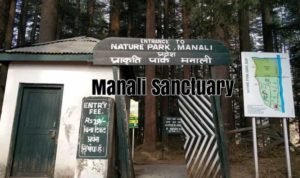 Manali-Sanctuary-Places-to-visit-in-manali