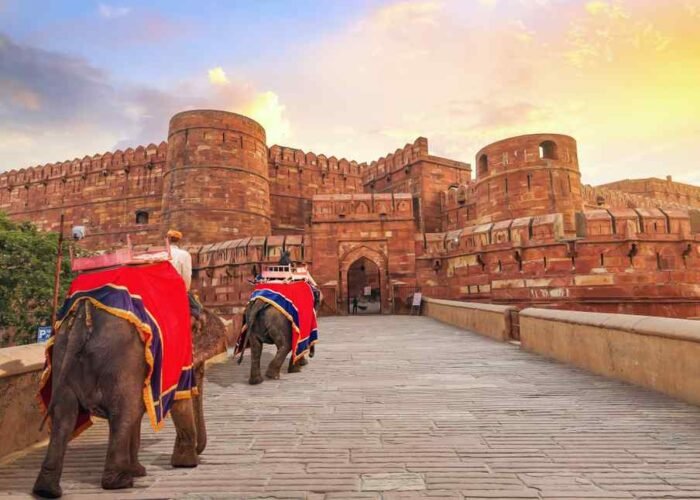Agra fort tour