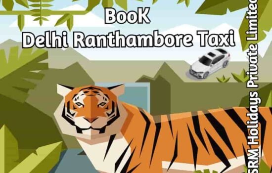 Delhi to ranthambore taxi