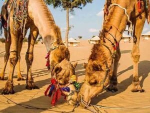 Jaisalmer tour package