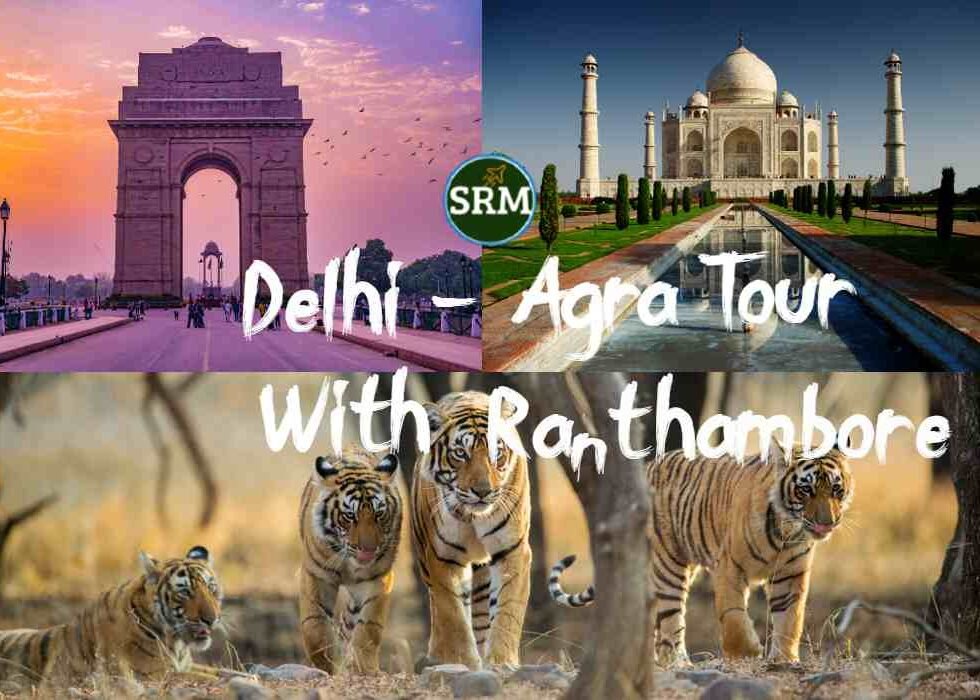 Delhi Agra Ranthambore Tour Package